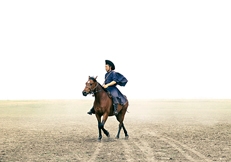 Hungarian Horse photo Sally Anne Thompson